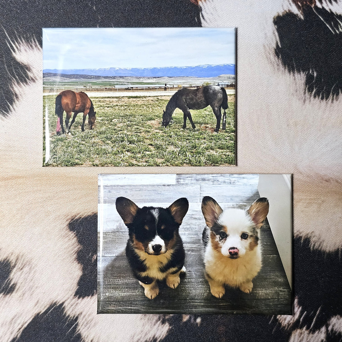 Custom Photo Magnets - 2.5" x 3.5" Rectangle