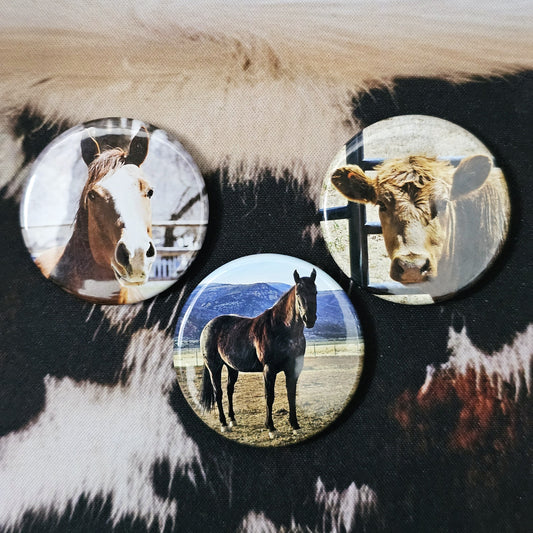 Custom Photo Magnets - 1.75" Round